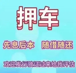 临沂压绿本贷款哪个平台好